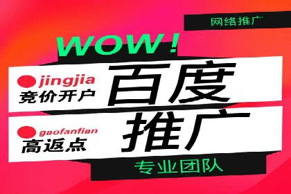 揭秘竞价推广公司：实战案例分享